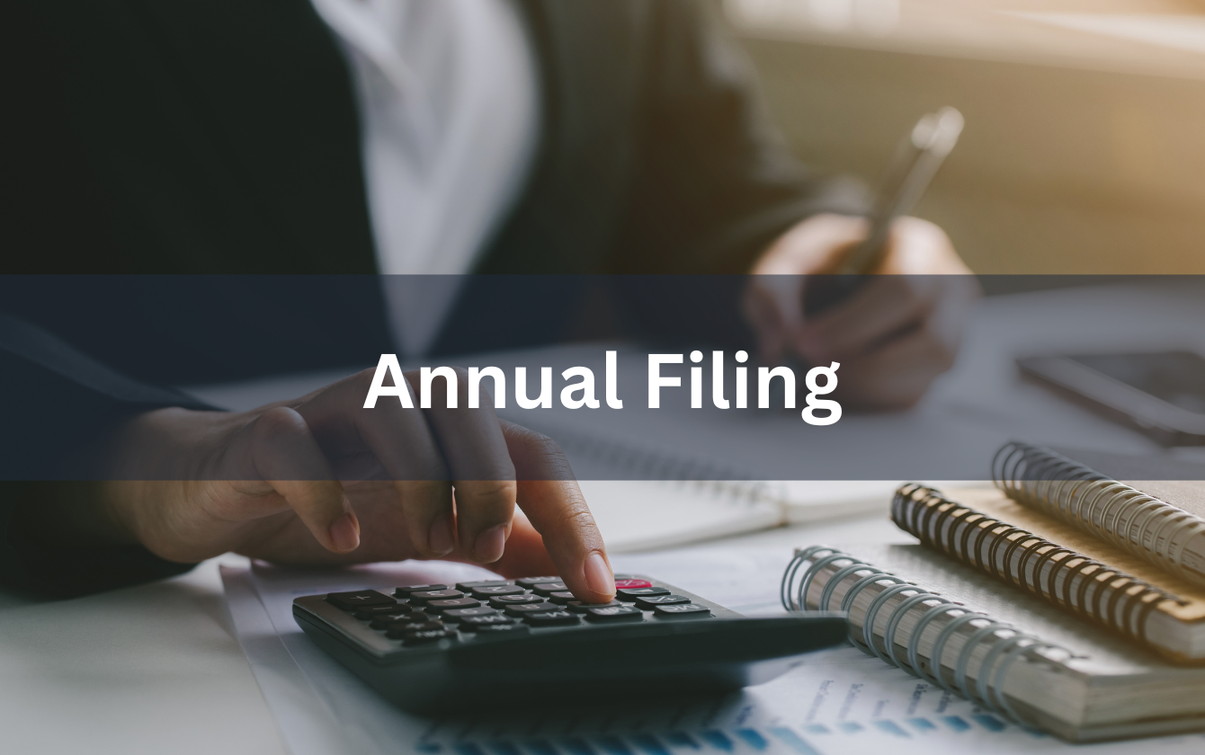 Ongoing Compliance and Annual Filings - Supporting Image